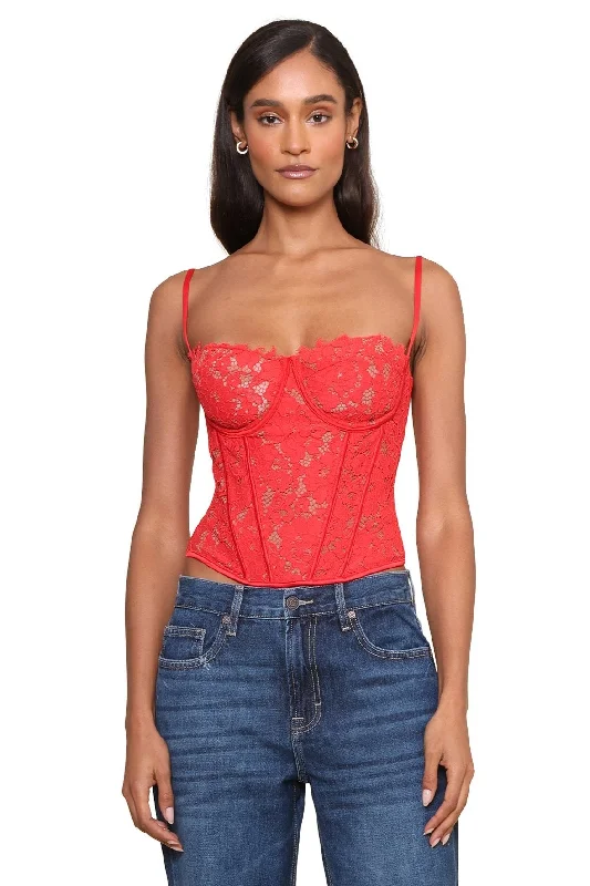 Gabriela Mesh Bustier Top